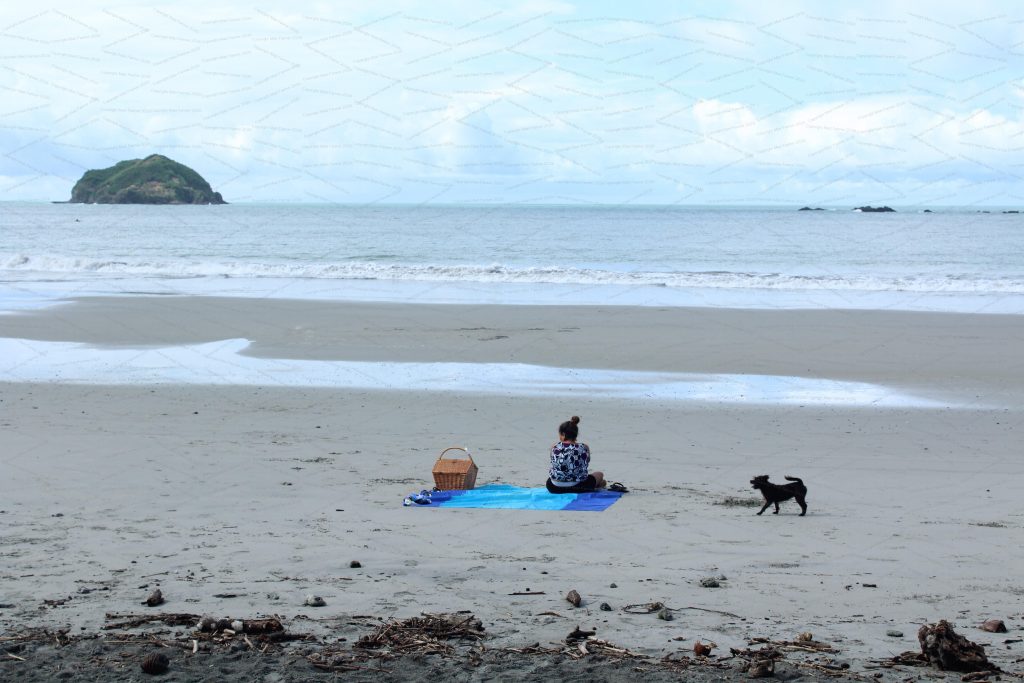 A woman sat on a beach towel considers the beach, as a dog plays nearby